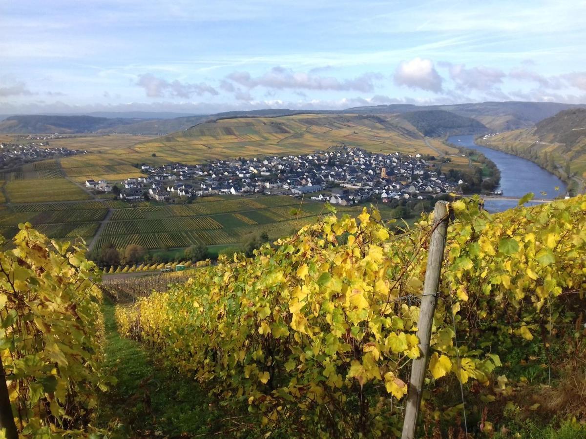 Ferienwohnung Bergblick 特里特海姆 外观 照片