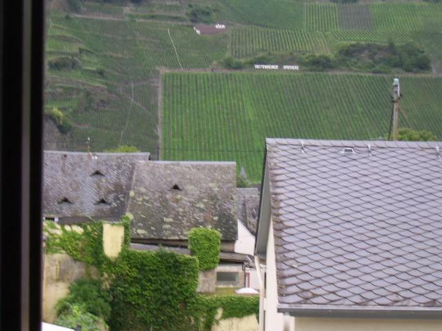Ferienwohnung Bergblick 特里特海姆 外观 照片