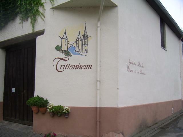 Ferienwohnung Bergblick 特里特海姆 外观 照片