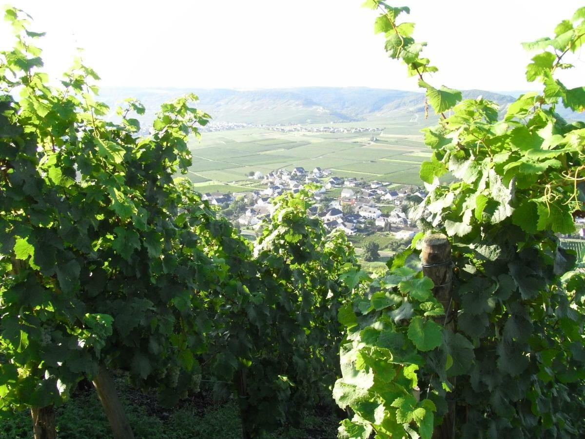 Ferienwohnung Bergblick 特里特海姆 外观 照片